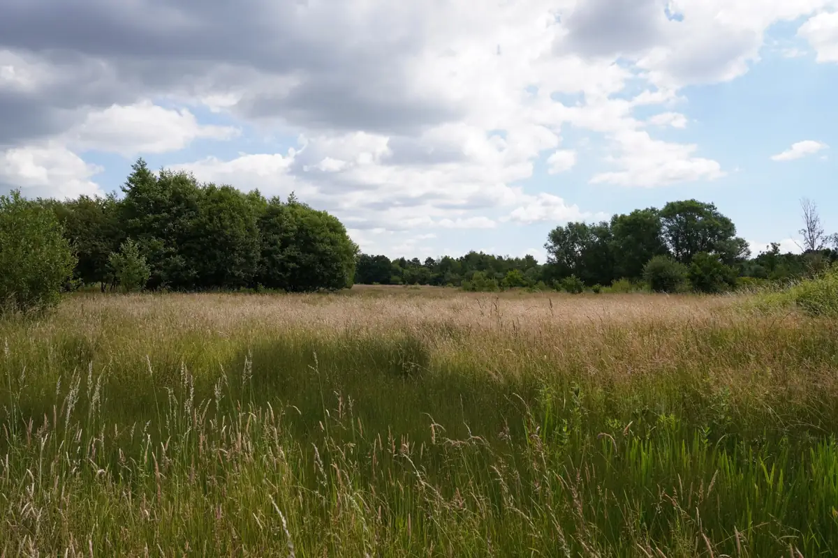 Open fields at Iron Horn